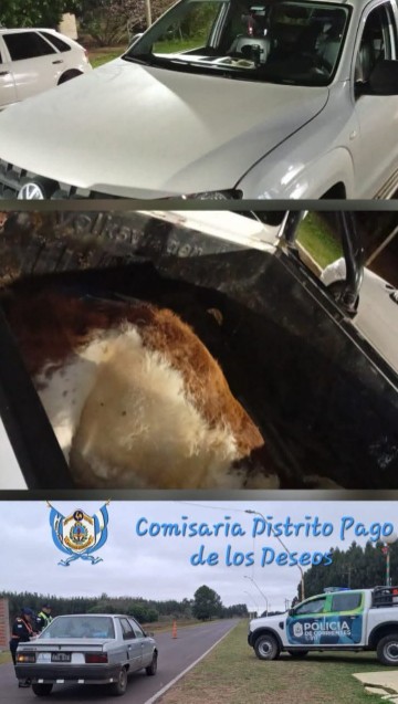 Imagen Noticia